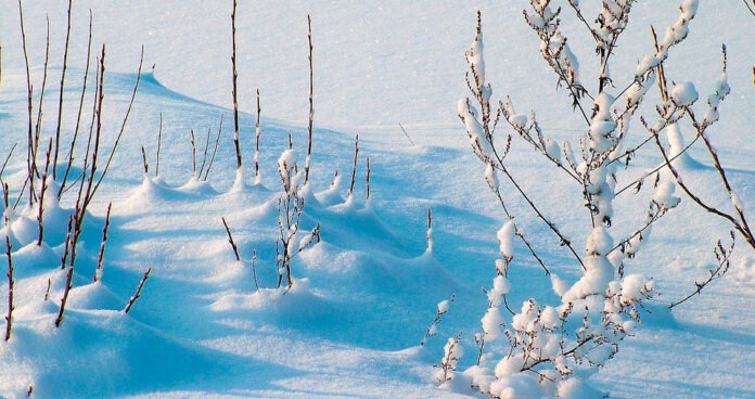 invierno