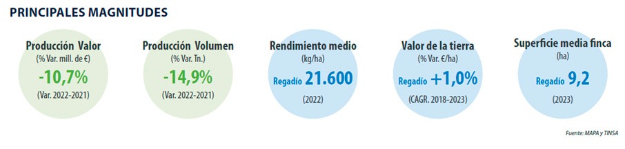Tinsa-informe- precio- tierra-magnitudes-frutales -citricos