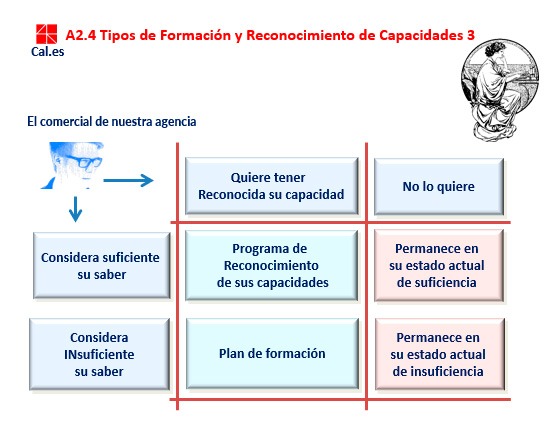 Decisiones de formación que puede tener el agente comercial