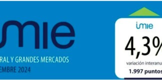 Tinsa- Informe imie-nov-2024