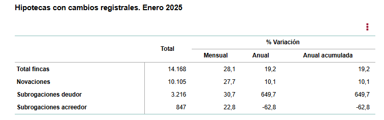 INE-Hipotecas con cambios registrales-enero 2025
