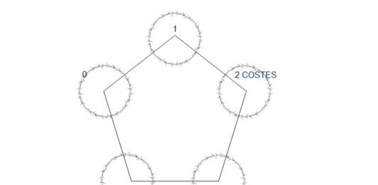 El pentágono de espinas en las micro formaciones inmobiliarias