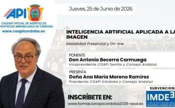 Coapi Córdoba: Curso Inteligencia Artificial aplicada a la imagen