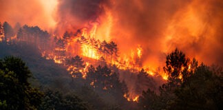 Cambio climatico e incendios forestales